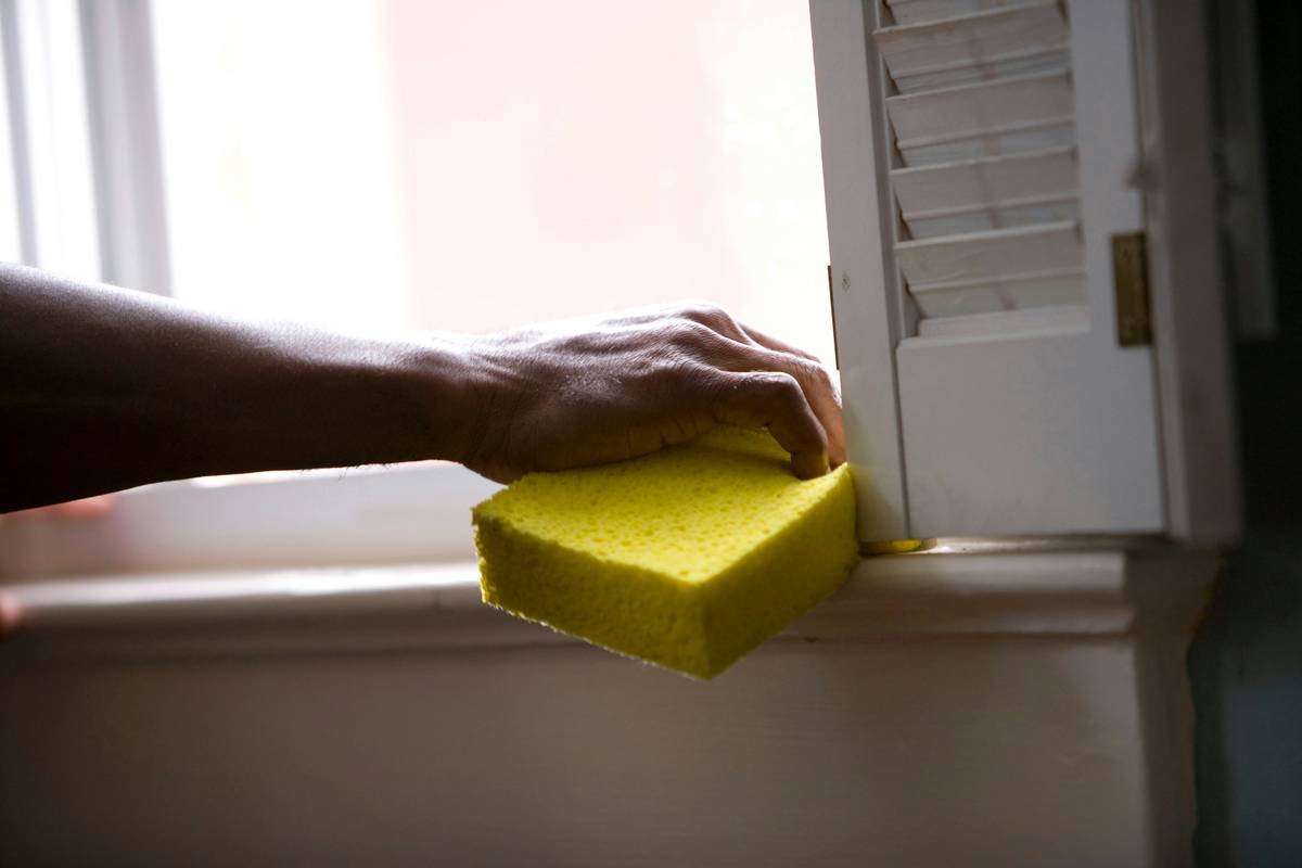 High-density cosmetic application sponge being squeezed under running water for proper prep