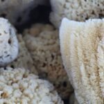 The Truth About Sponge Makeup Blending Most Beauty Brands Won't Tell You