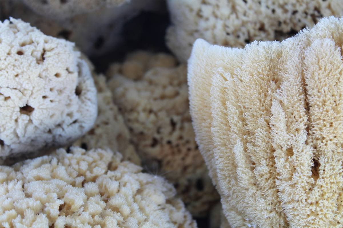 The Truth About Sponge Makeup Blending Most Beauty Brands Won't Tell You